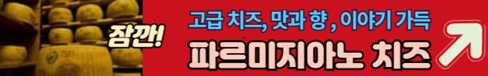 파르마 치즈
