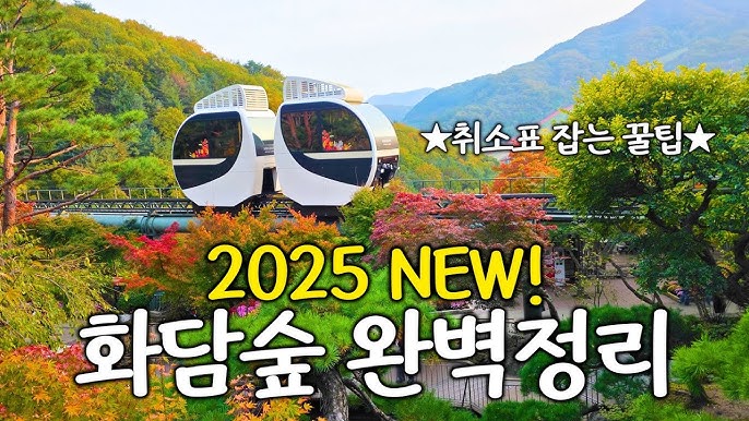 2025 화담숲 예약 성공 팁ㅣ모노레일 이용부터 관람 동선까지