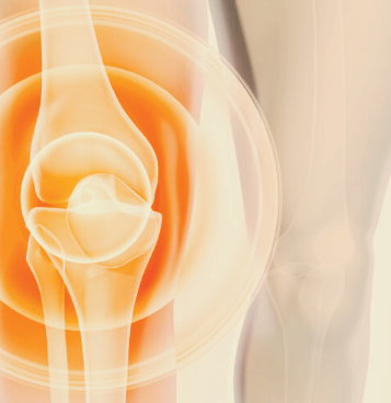 무릎 연골 손상 증상