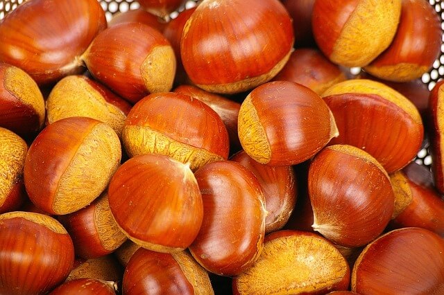 벌초도우미신청방법&amp;#44; 산림조합전화신청&amp;#44; 산림조합방문신청&amp;#44; 온라인벌초신청&amp;#44; 벌초서비스신청&amp;#44; 벌초도우미접수&amp;#44; 산림조합접수방법&amp;#44; 벌초신청절차&amp;#44; 산림조합신청안내&amp;#44; 벌초예약방법