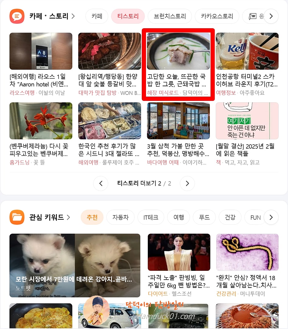 2025년 2월 28일 다음 메인 티스토리 채널