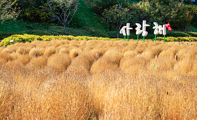 용인농촌테마파크