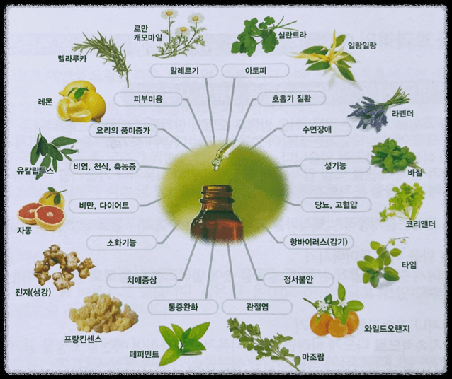 아로마 테라피