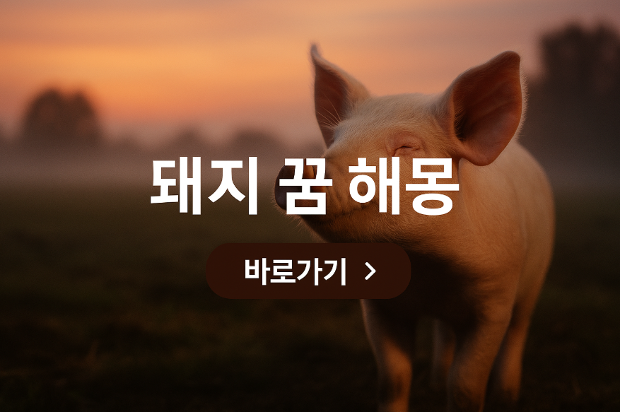 돼지 꿈 해몽