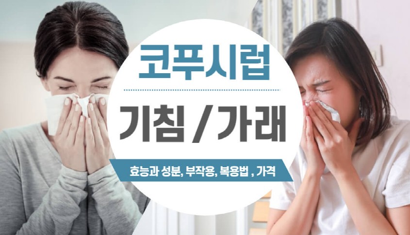 여성-2명이-기침과-재채기를-하는-사진과-코푸시럽의-기침-가래-효능과성분-부작용-복용법-가격을-알려주는-로고입니다.