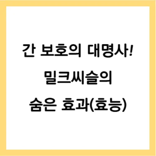 밀크씨슬 효능
