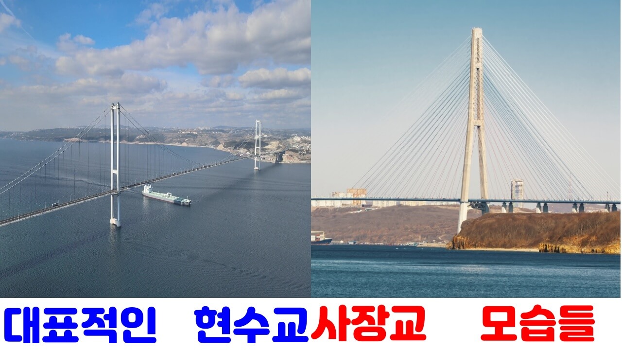 현수교와 사장교의 모습을 비교했습니다