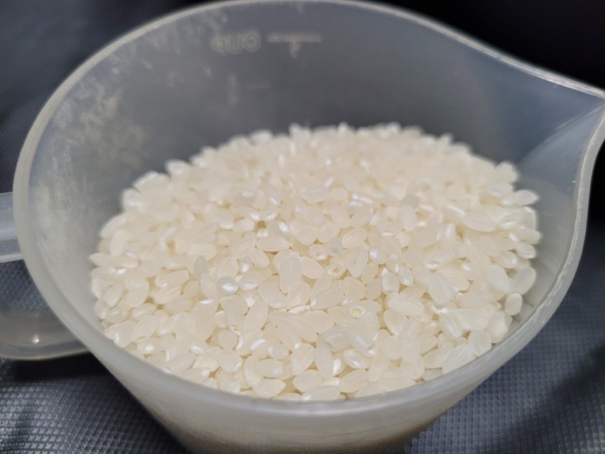 경기미 아끼바레 쌀알 근접