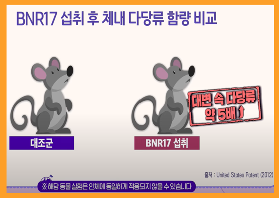 비엔알 17유산균, bnr17 유산균, 비앤날씬 유산균