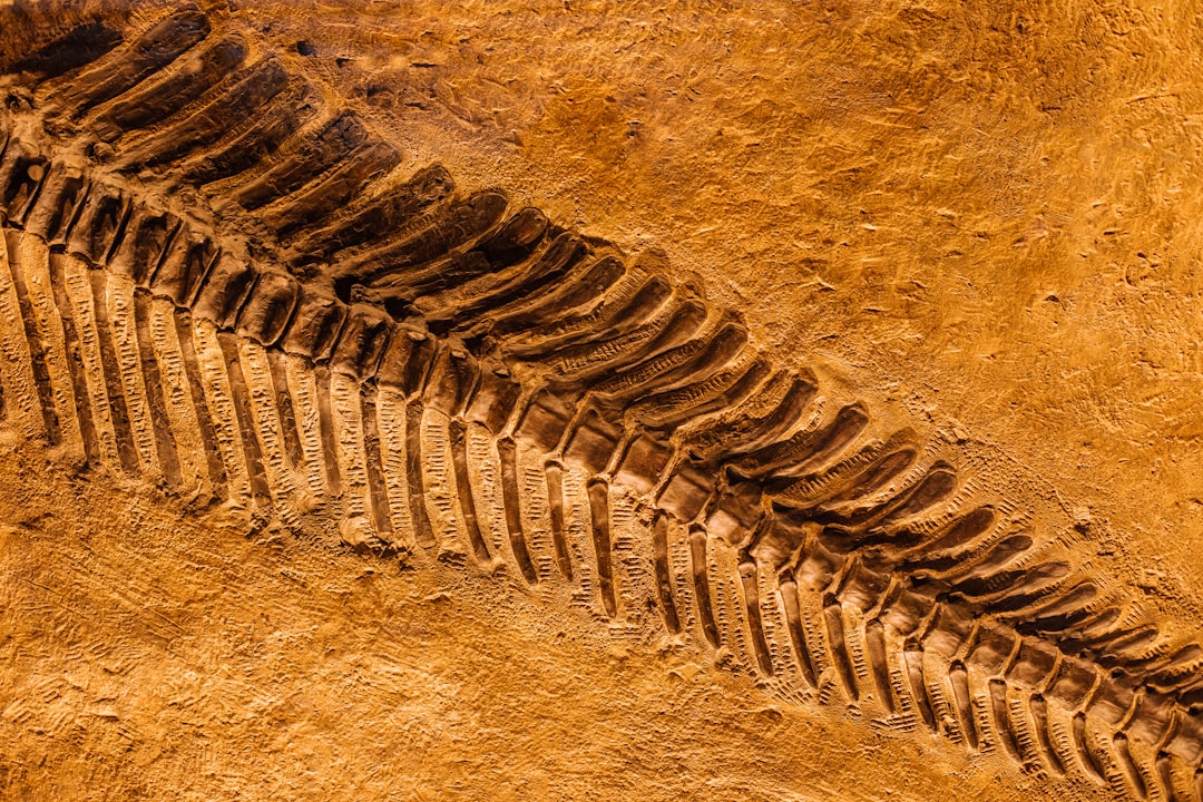 Paleolithic