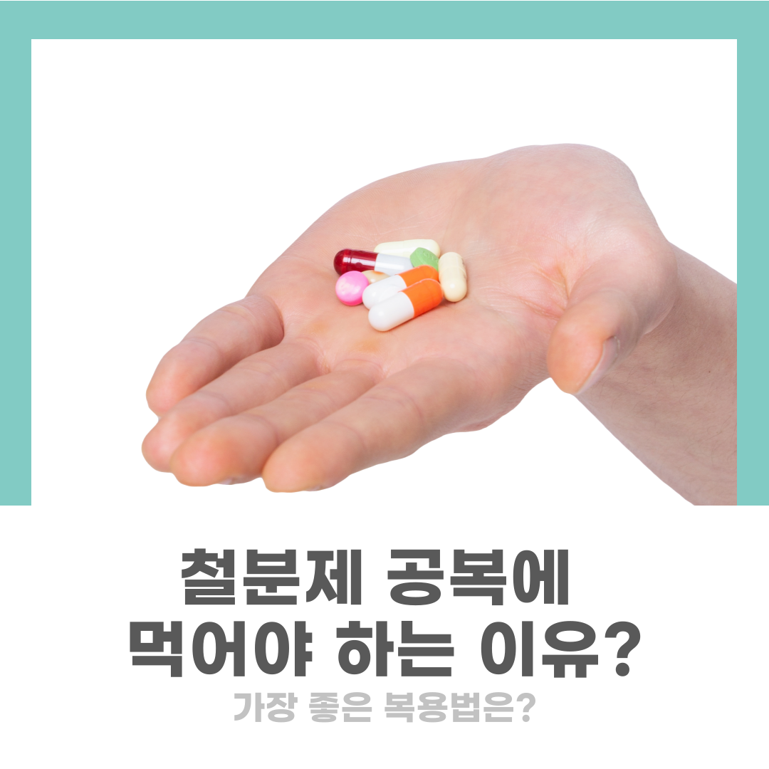 임산부철분제