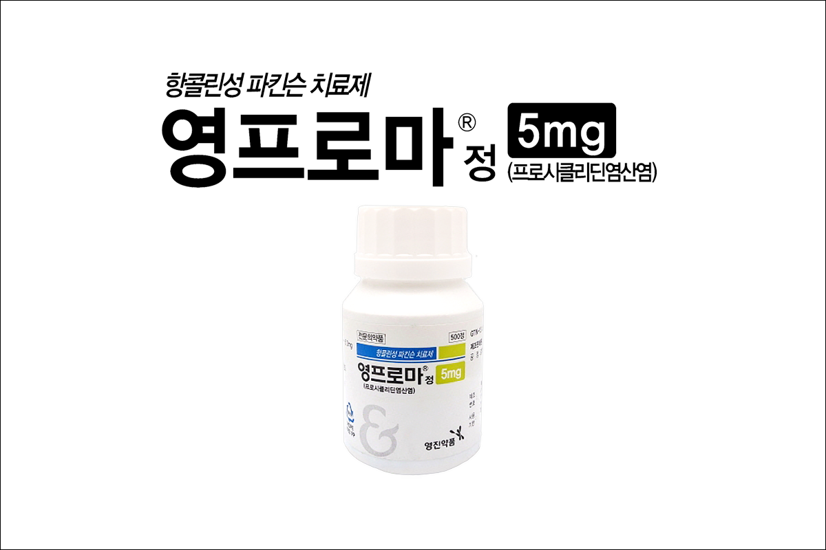 영프로마정(Youngproma Tab.)