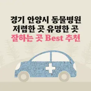 경기도 안양 동물병원 잘하는 곳 가격 저렴한 곳 추천