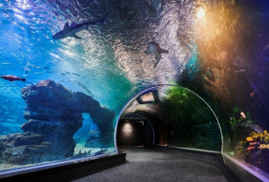 실내 데이트 스팟