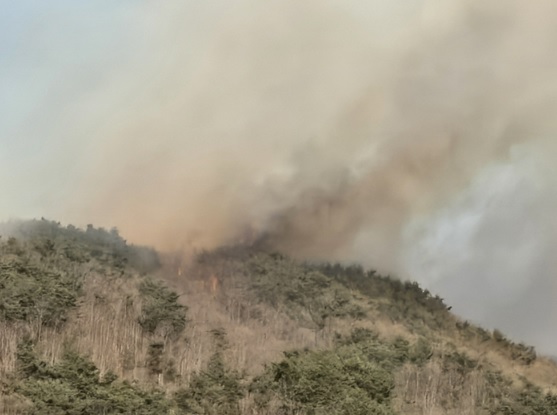경남 함양 산불 진화율