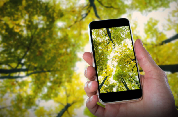 스마트폰을 활용한 건강한 생활 습관 만들기