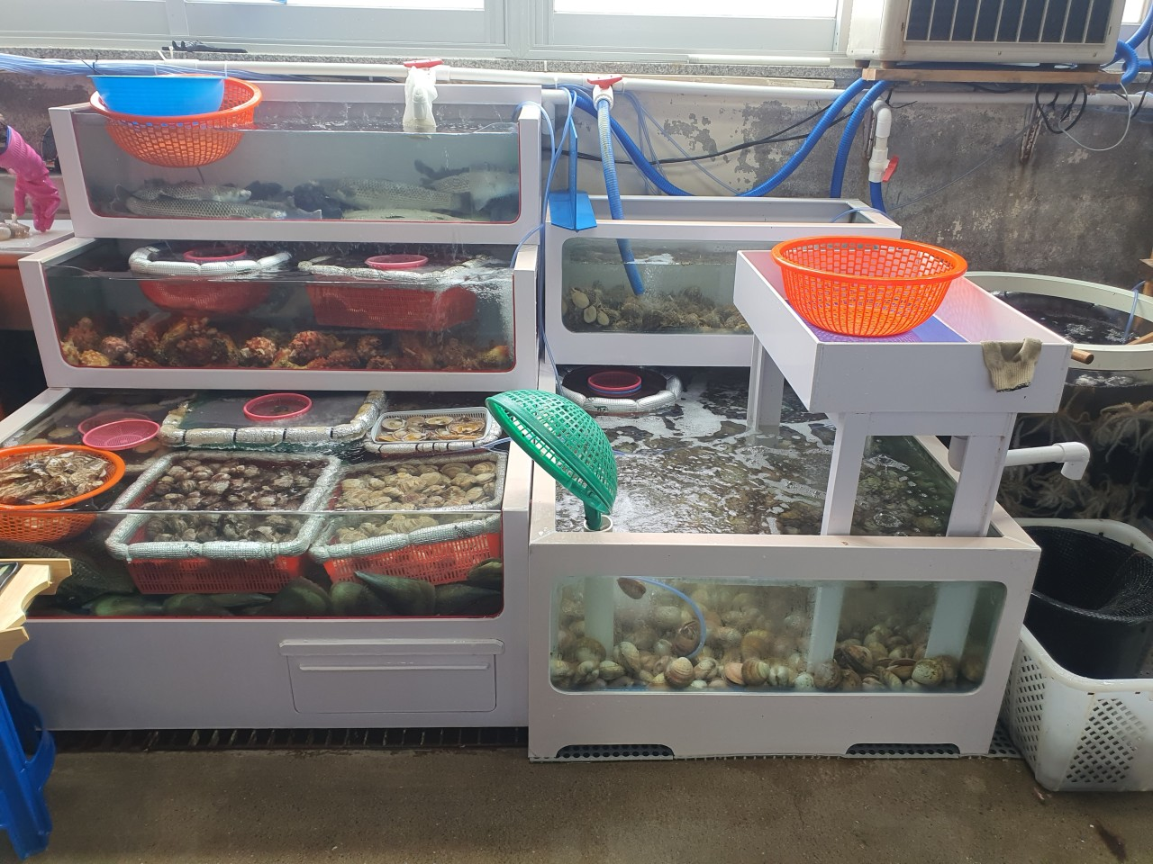 남당항 또오리회수산