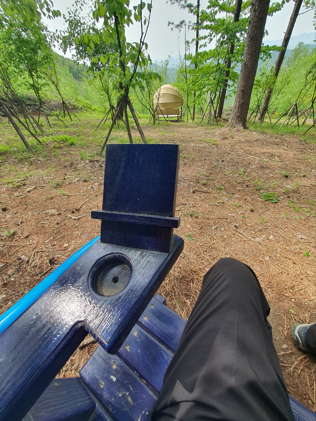 봉래산산림욕장