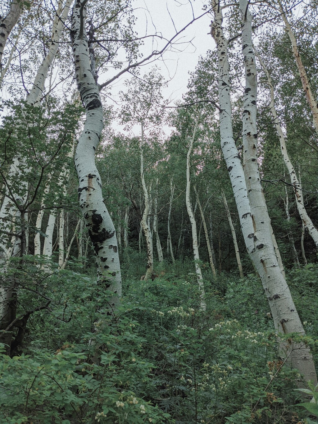 화담숲 예약방법! 실수 없이 완벽하게 예약하는 법