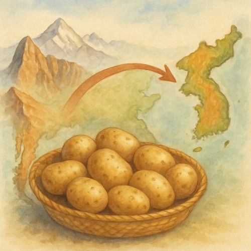 감자의-세계-여행