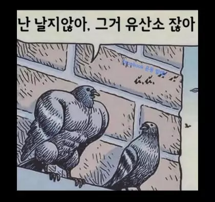 근손실
