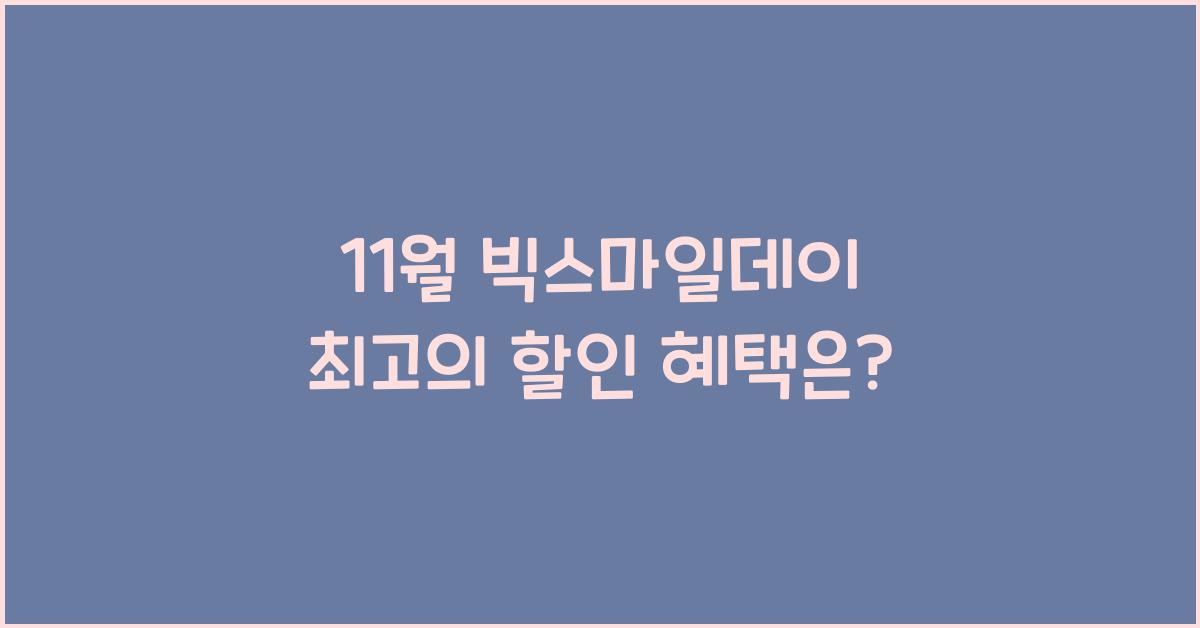 11월 빅스마일데이