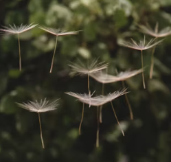 아토피 피부염 증상 근본 원인 치료 방법