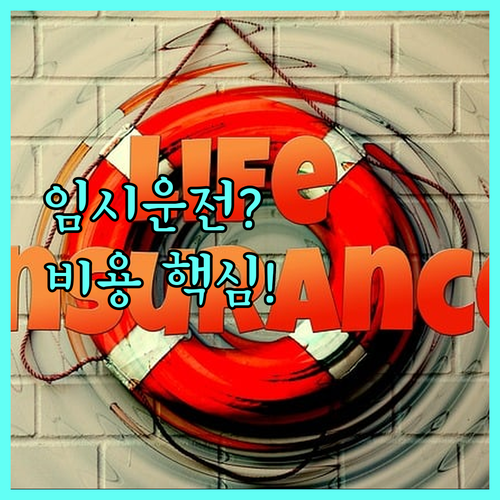 비사업용 자가용 임시운전자 특약 가입..