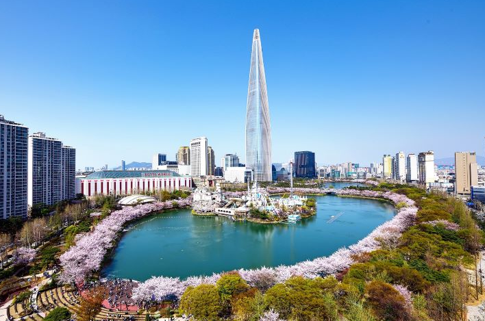 서울 석촌호수 벚꽃축제 사진