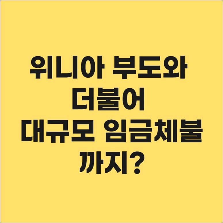 위니아 부도