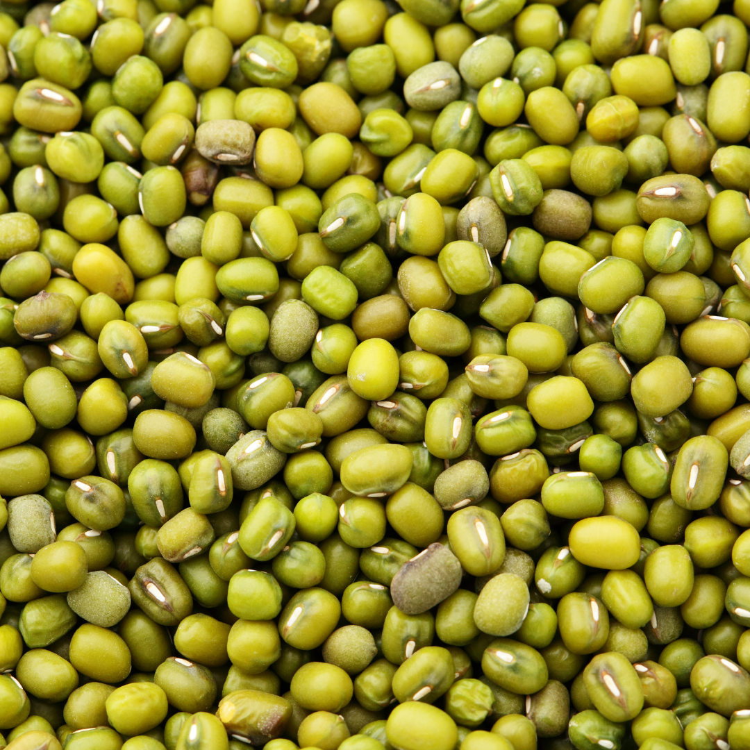 녹두 효능과 부작용, 녹두전 녹두죽 만드는 방법 레시피 공유