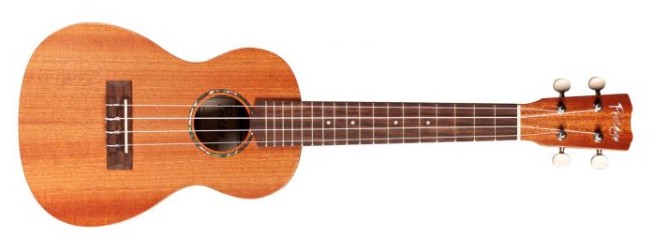 기타의 종류 및 차이점 - 통기타, 일렉기타, 클래식기타, 베이스기타, 우쿨렐레