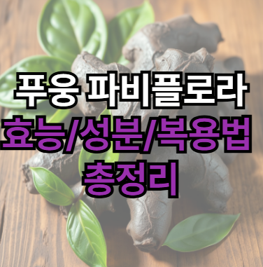 푸웅-파비플로라-효능-성분-복용법