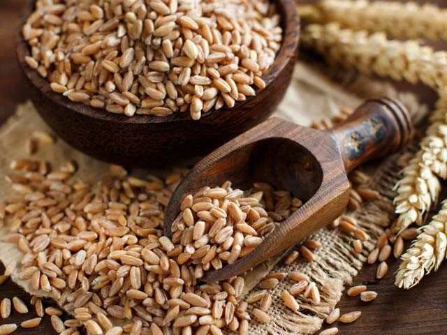 파로의 놀라운 건강 효능과 혈당 조절 효과