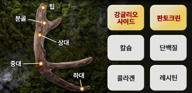 μΉ¨ν₯ν ν¨λ₯, κ°κ²©, λͺ¨λ κ²!(κ΄λ μΉ¨ν₯ν μ§μ€ λΆμ)