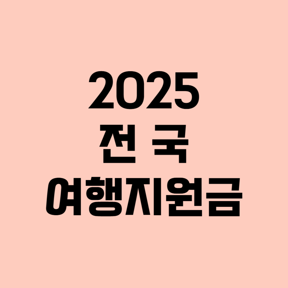 2025년 여행지원금