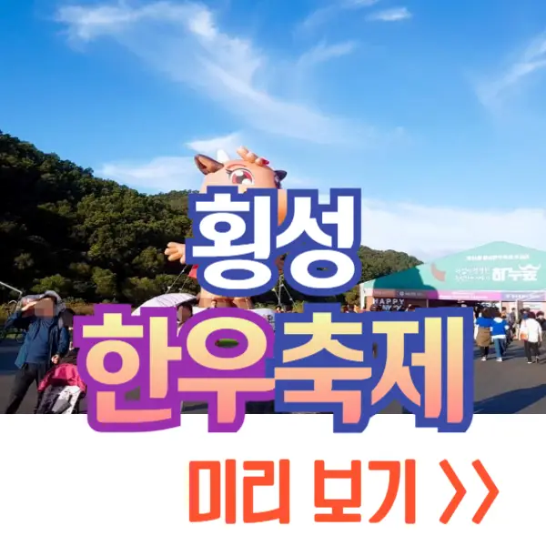 횡성 한우축제