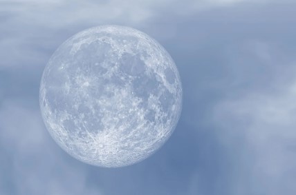 꽃피는 달의 신비와 의미 플라워문