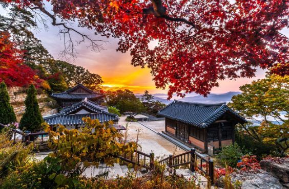 주말 템플 스테이 관련 이미지