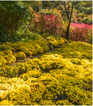 화담숲 예약 할인