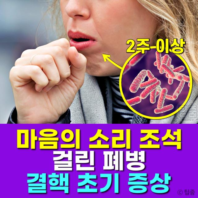 결핵 초기 증상,마음의소리 조석,팁줌