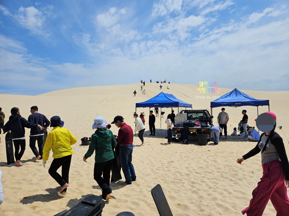 호주 시드니 사막 포트스테판 투어 솔직후기 가격 코스 야생 돌고래 크루즈