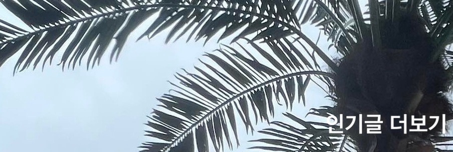 인기글 더보기 사진입니다.