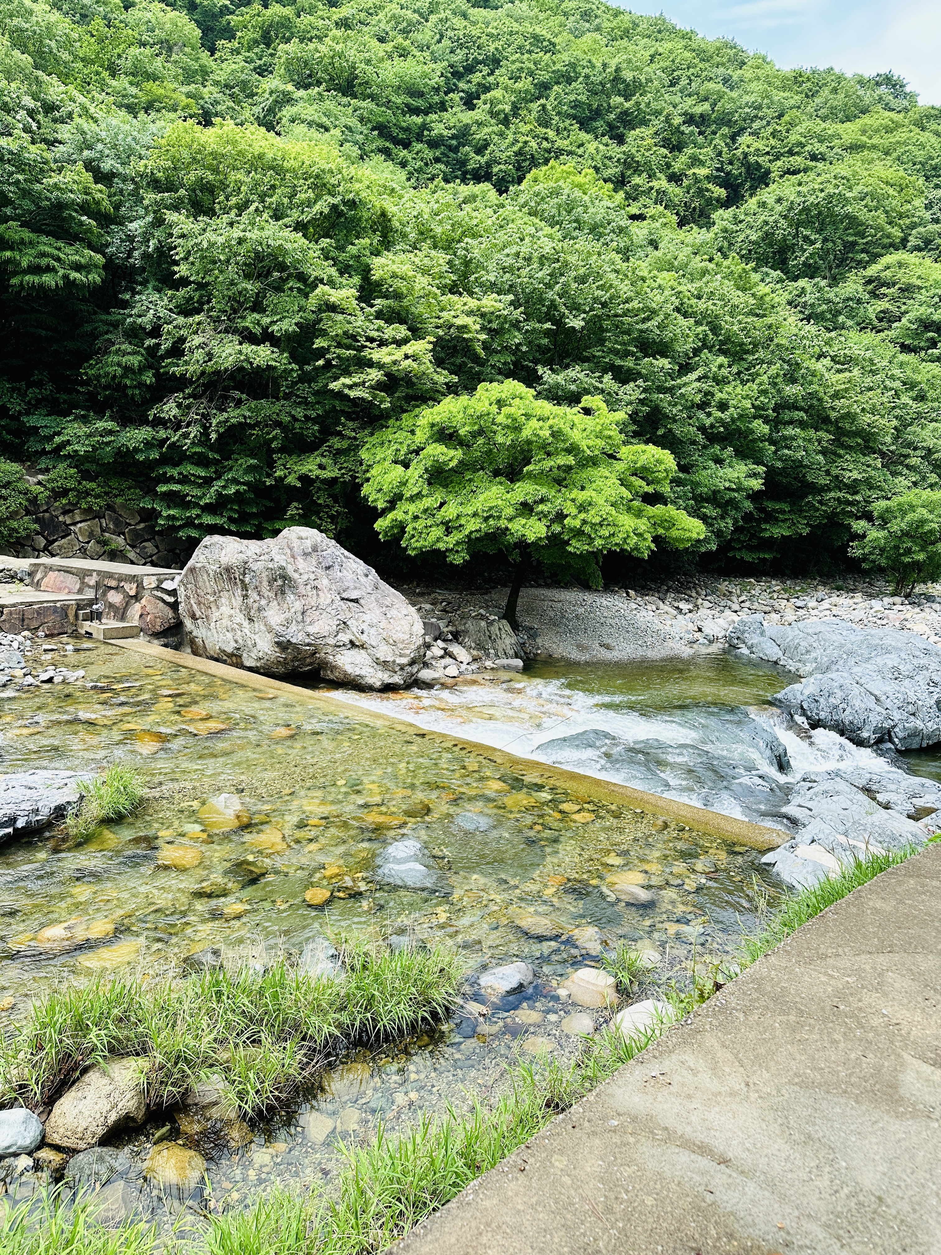 디지털 기기 대신 아날로그 도구로 살아보기– 화면을 덜어내니, 감각이 돌아왔다