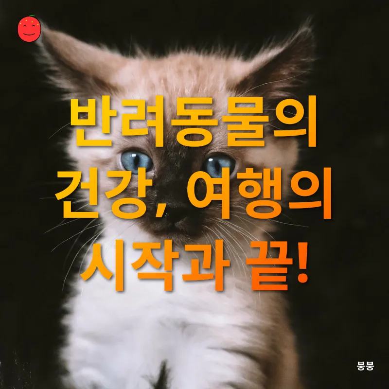 반려동물 여행_1