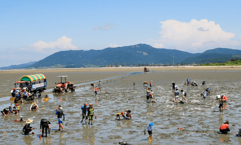 구시포 해수욕장