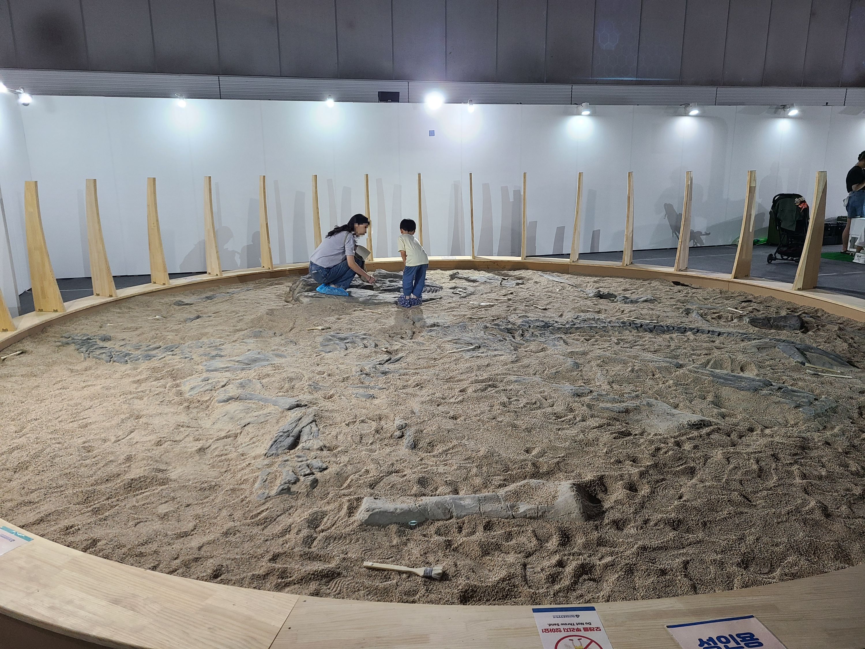 2023 찾아가는 공룡엑스포 in 일산 화석발굴