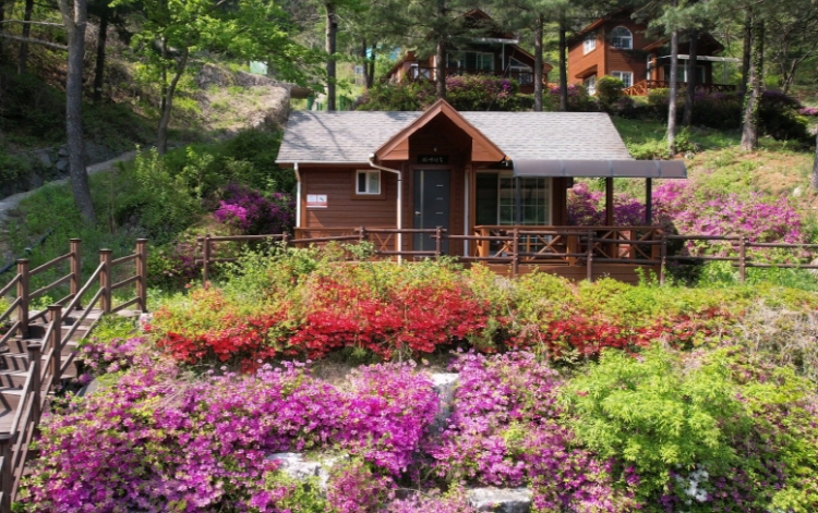 칼봉산 자연휴양림