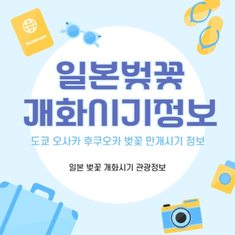 일본-벚꽃-여행