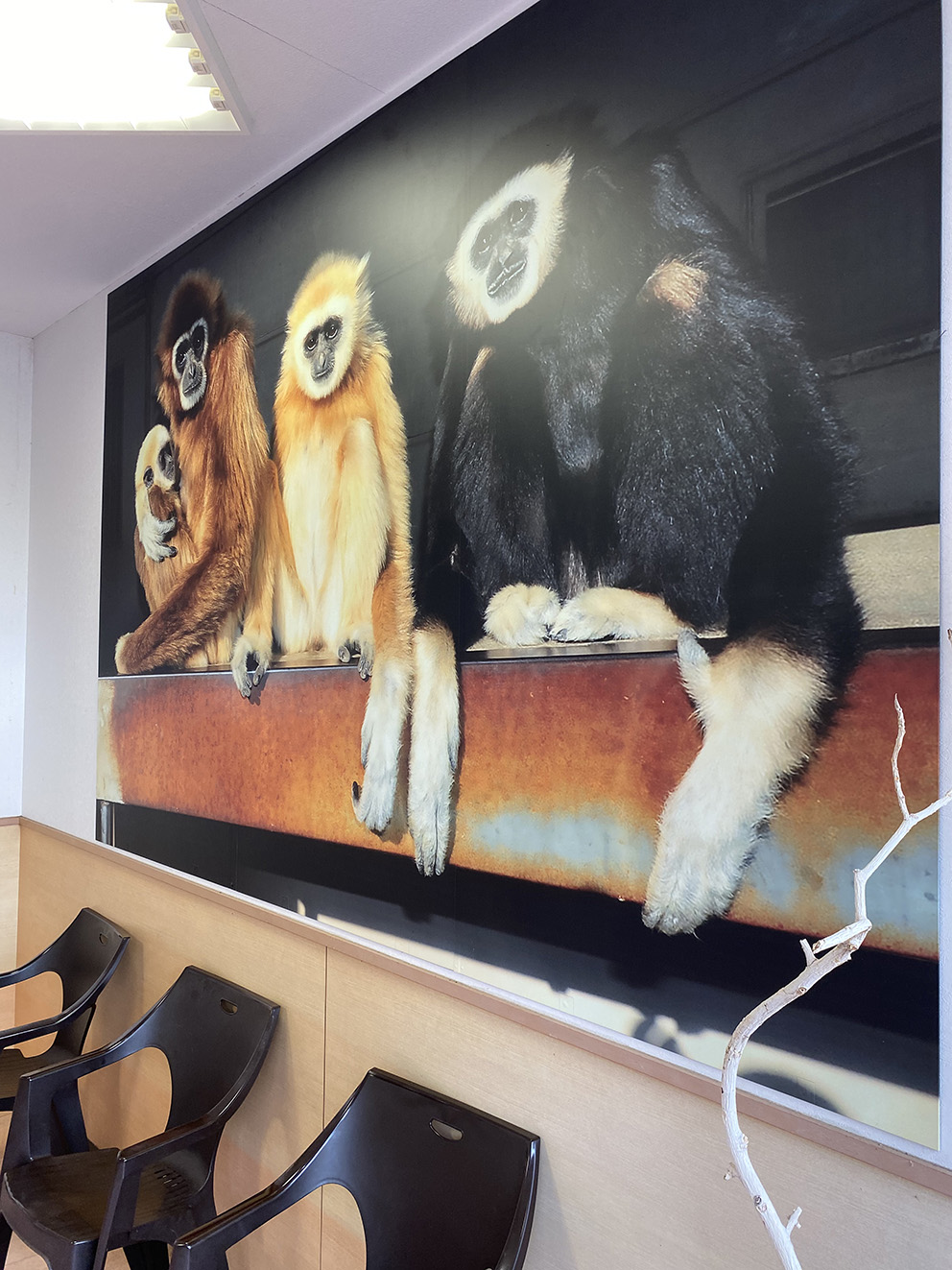 이누야마몽키센터